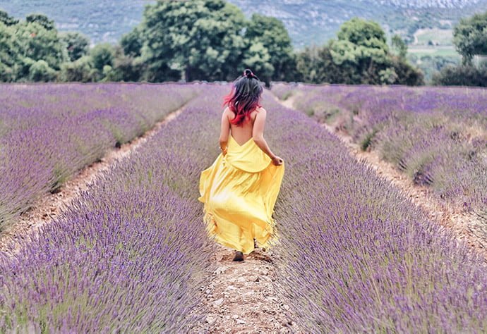 Lavender-fields-Ardeche.jpeg